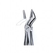 Extarcting Forceps 